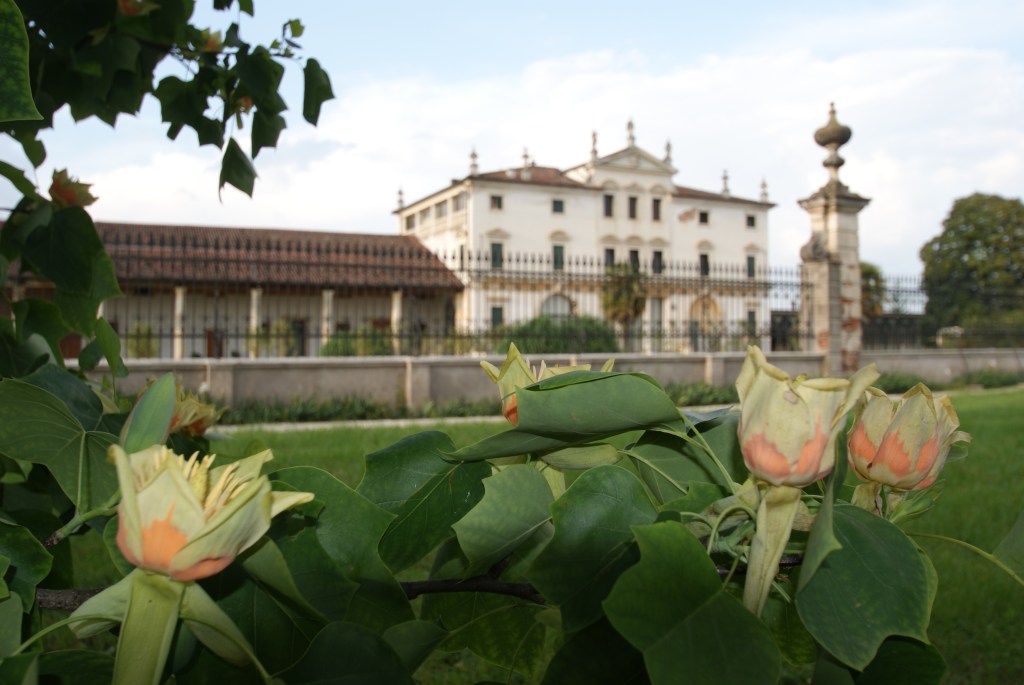 Arte e dintorni. Alla scoperta del gioiello di Villa Ghislanzoni&nbsp;Curti