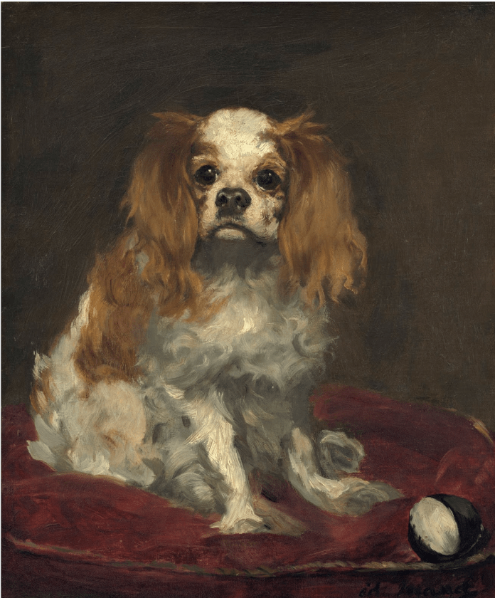 Giornata internazionale del&nbsp;Cane