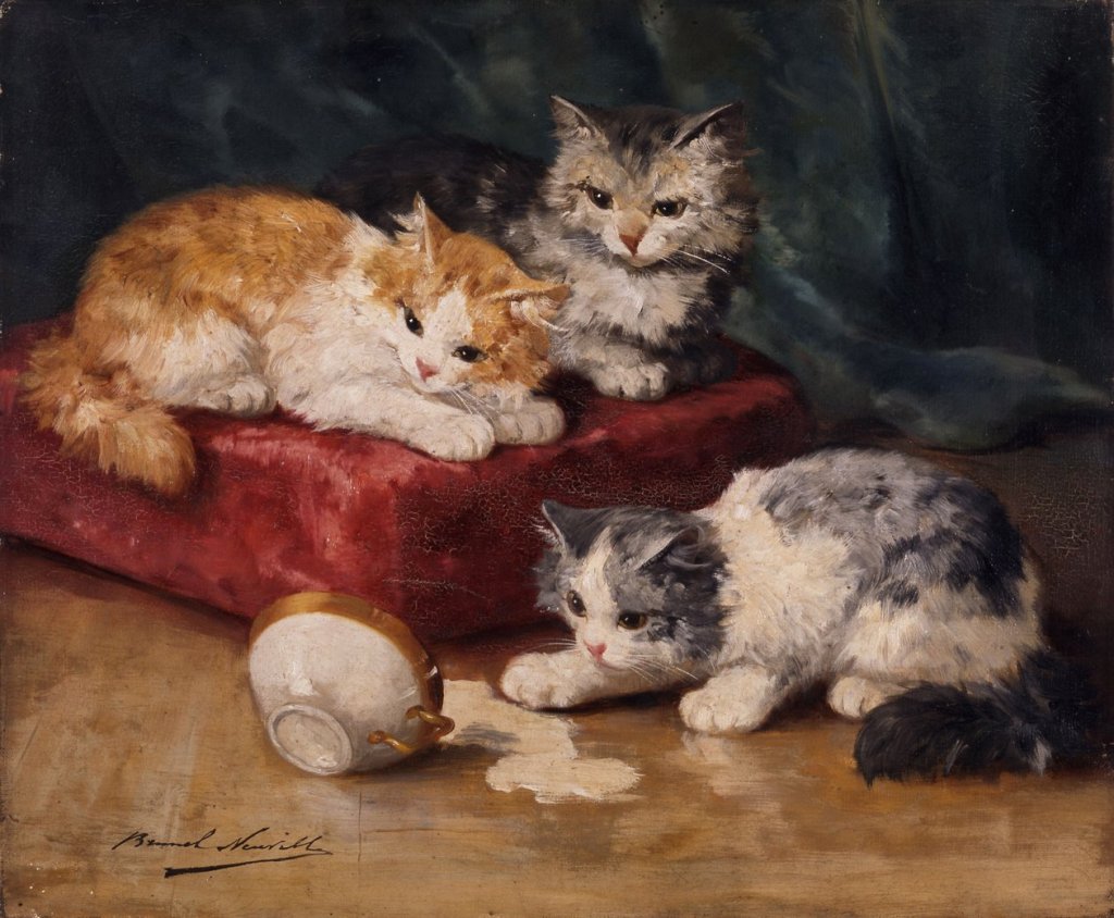 Giornata mondiale del gatto