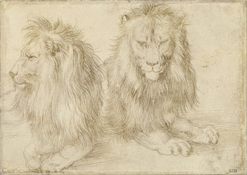 Giornata mondiale del Leone